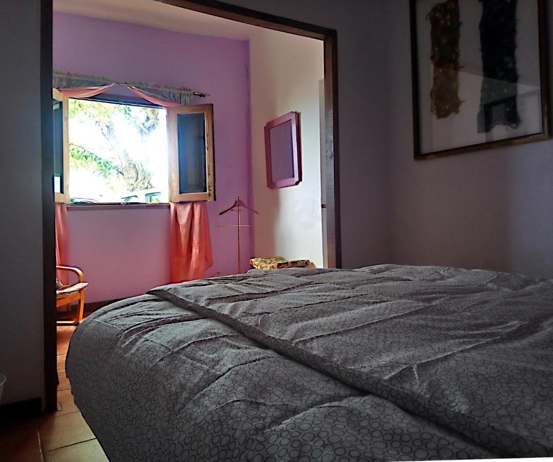 לה לגונה The Violet House Muy Cerca Del Aeropuerto Tenerife Norte מראה חיצוני תמונה